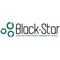 логотип производителя шин BlackStar